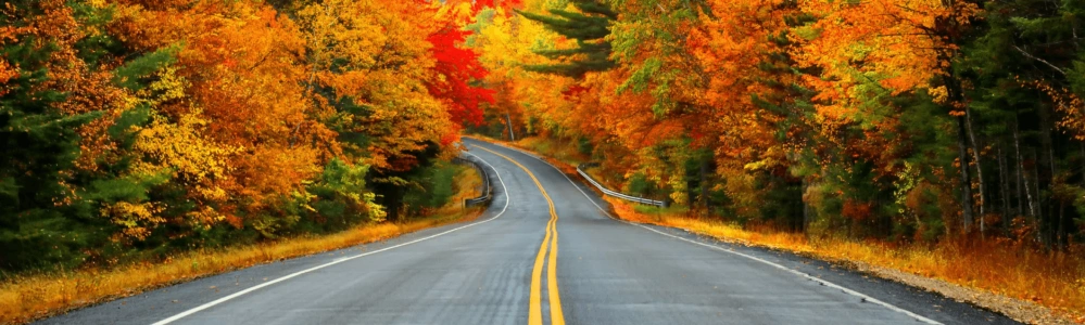 Fall road